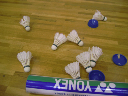image0004